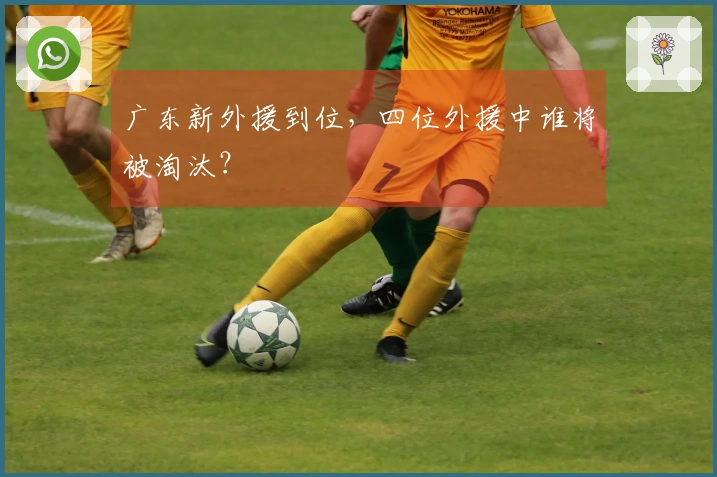 广东新外援到位,四位外援中谁将被淘汰?