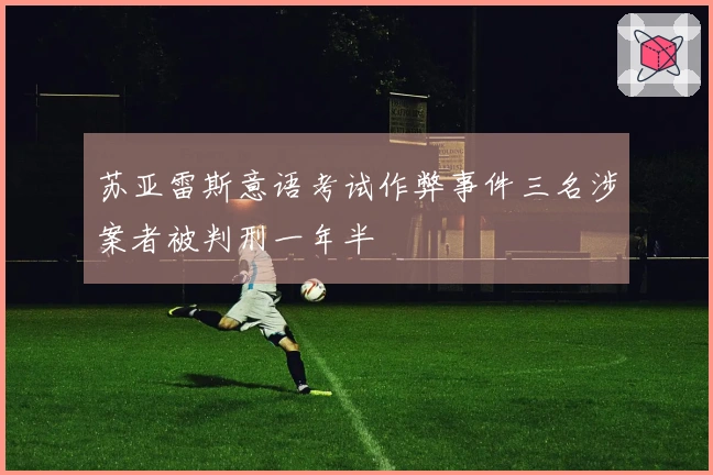 苏亚雷斯意语考试作弊事件三名涉案者被判刑一年半