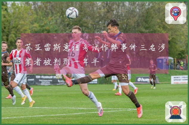 苏亚雷斯意语考试作弊事件三名涉案者被判刑一年半