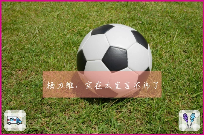 杨力维，实在太直言不讳了